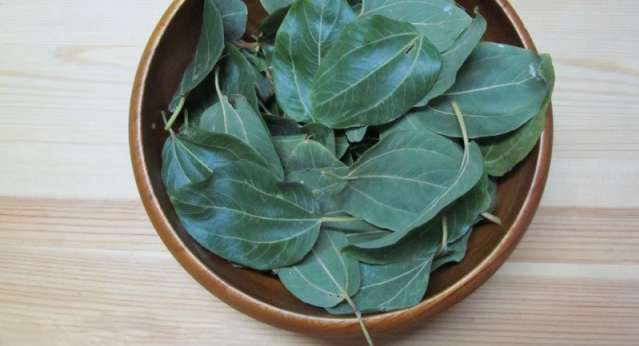 كل شي عن خلطة الرومي للحمل