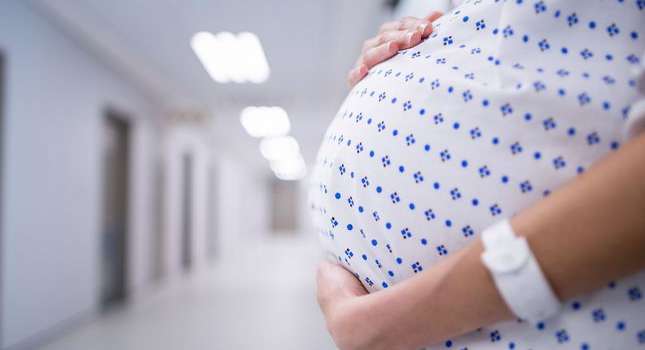 معلومات عن تامين تكافل الراجحي للحامل