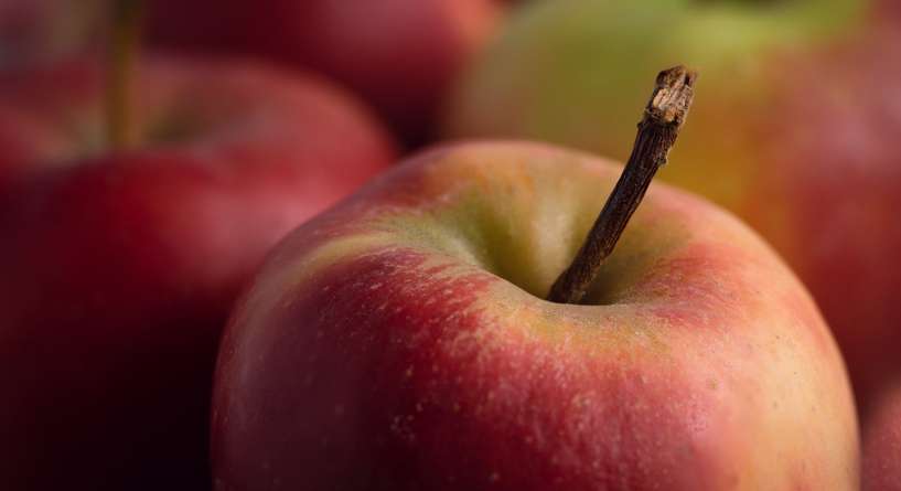 هل نقص فيتامين د يسبب وخز بالجسم واعراضه الاخرى