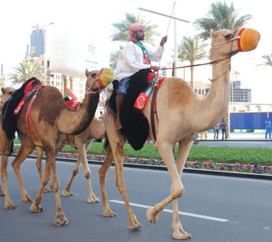 كيف احتفل الاماراتيون بعيدهم الوطني؟ بالصور