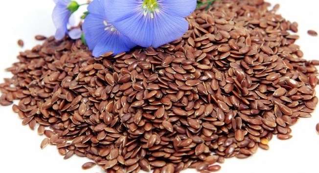 Flax, Plant, Flower