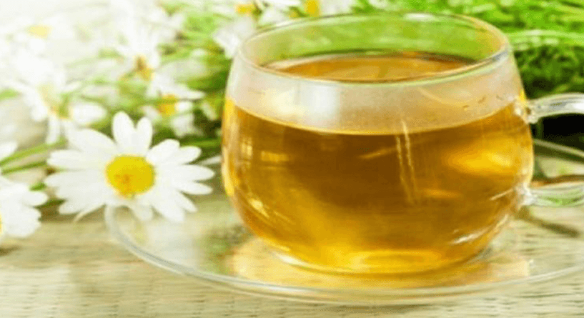 فوائد البابونج للحامل