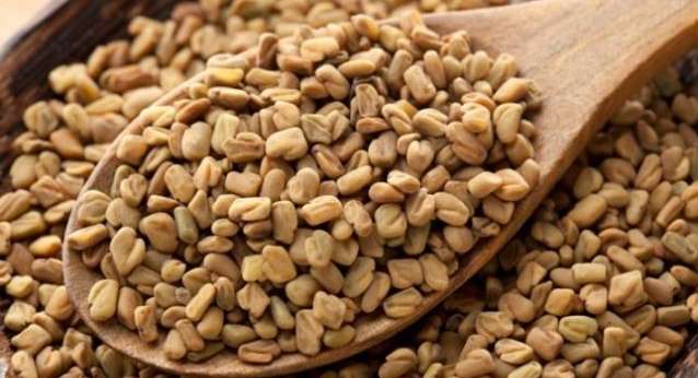 فوائد الحلبة للاطفال الرضع