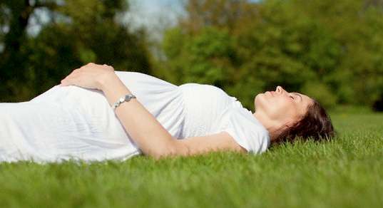 Grass, Plant, Lawn