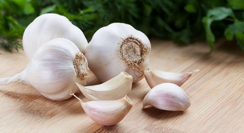 فوائد الثوم لالم الاذن 