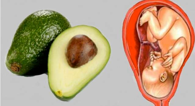 أطعمة تُشبه أهمّ أعضاء جسمك وتغذّيها