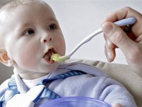 طعام الطفل في الشهر الثامن 
