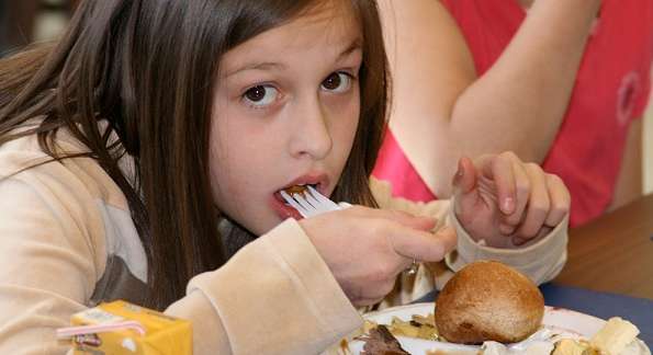 ما هي الأطعمة المسموحة في حرم المدرسة ؟