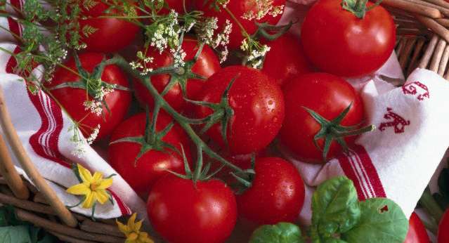 Plant, Vegetable, Food