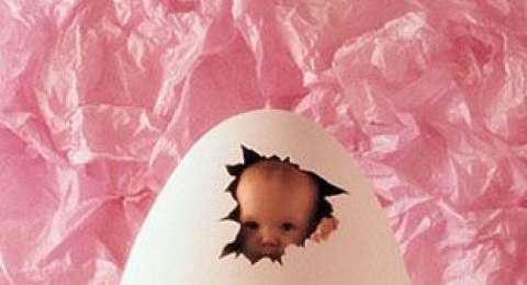 Food, Egg, Person