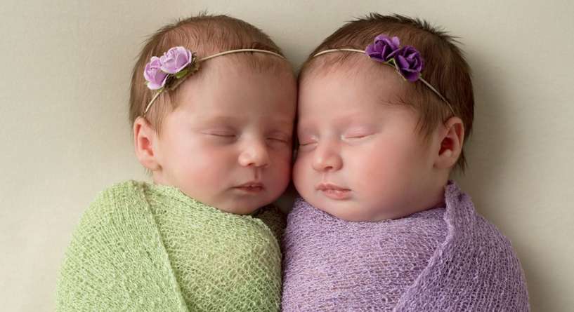 افضل اعشاب للحمل بتوأم مجربة