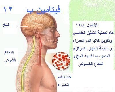 دراسة: تناول فيتامين B يؤخر الإصابة بالخرف