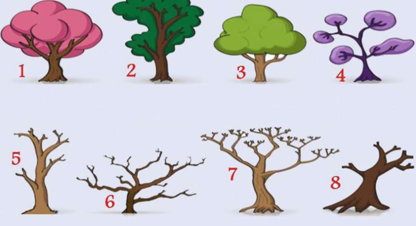 اختبار شخصية من خلال اختيار شجرة