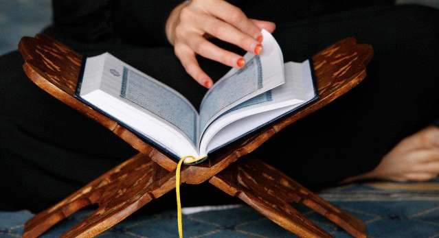 Book, Person, Human