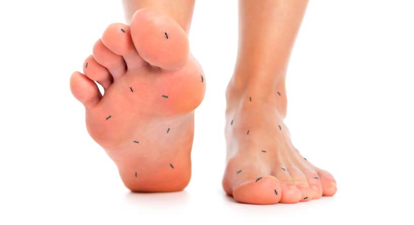 Heel, Person, Human