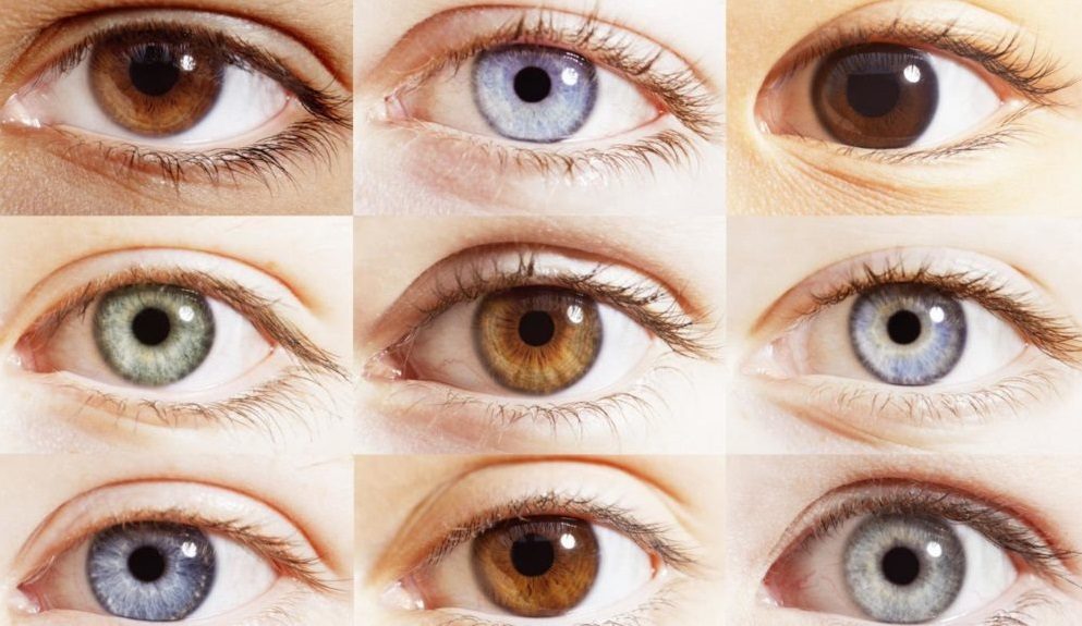 ما الذي يكشفه لون العينين عن الزوج أو الزوجة