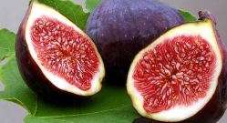 البواسير: الأسباب والأعراض والعلاج