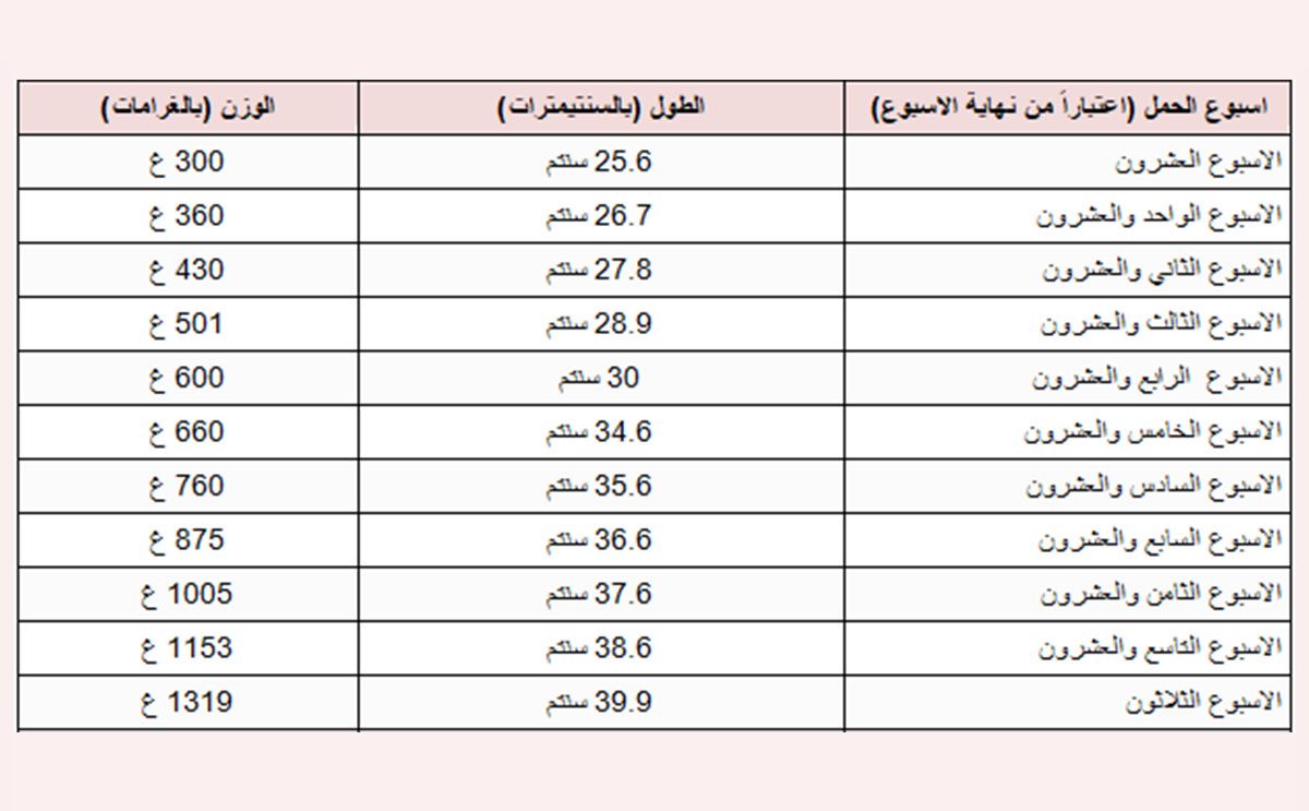 جدول وزن الجنين