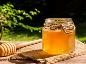 فوائد العسل للحامل في الشهر السابع 