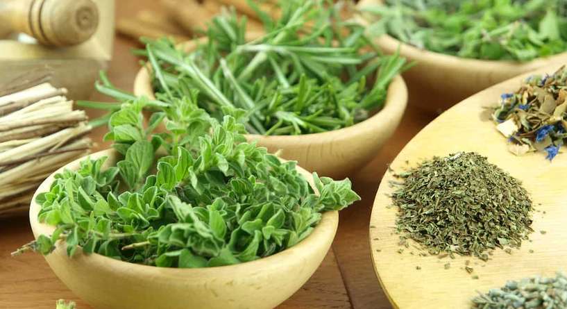 طريقة علاج الكحة بالزعتر