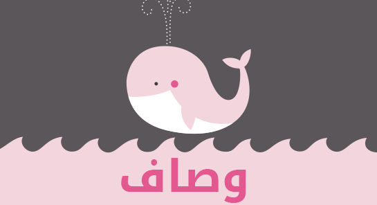 معنى اسم وصاف