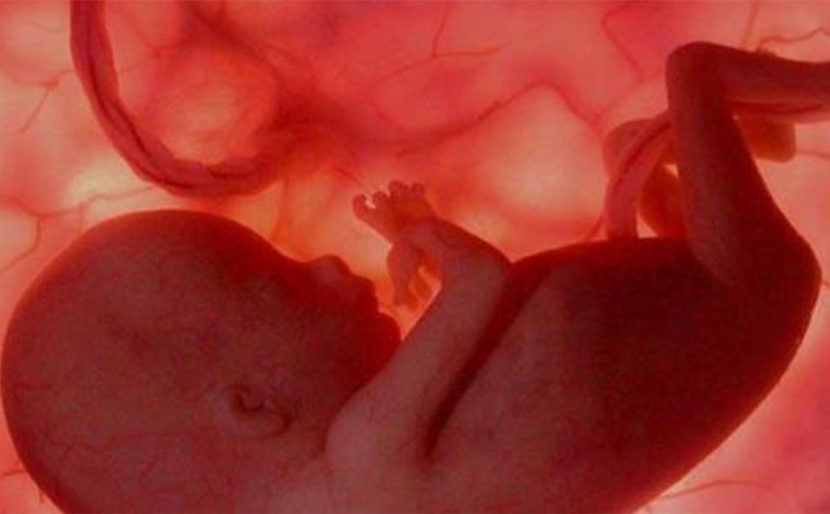 مراحل نمو الجنين في الرحم بالصور
