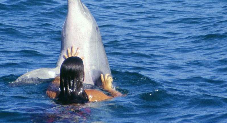 ولادة في الماء بمساعدة من الدلافين