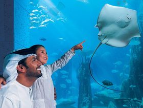 دبي أكواريوم (Dubai Aquarium) 