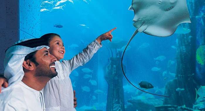 دبي أكواريوم (Dubai Aquarium) 