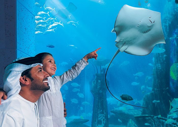 دبي أكواريوم (Dubai Aquarium) 