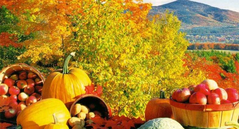 أطعمة خريفية تقي من السرطان