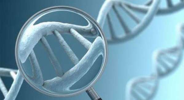 كيف تساعدين الجينات على استبعاد الأمراض؟