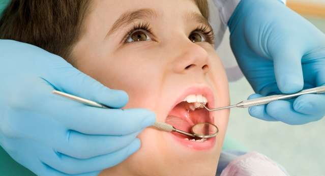 Dentist, Person, Human
