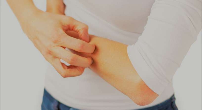 Hand, Person, Human