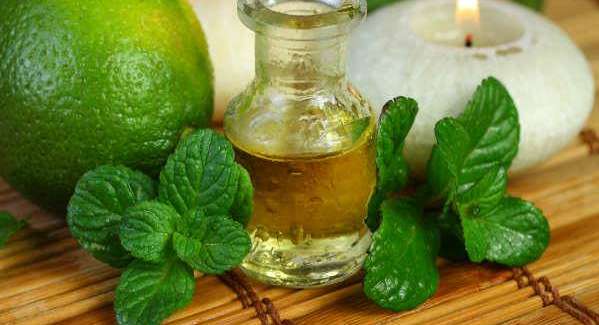 خلطات زيت النعناع مفتاح الشعر القوي