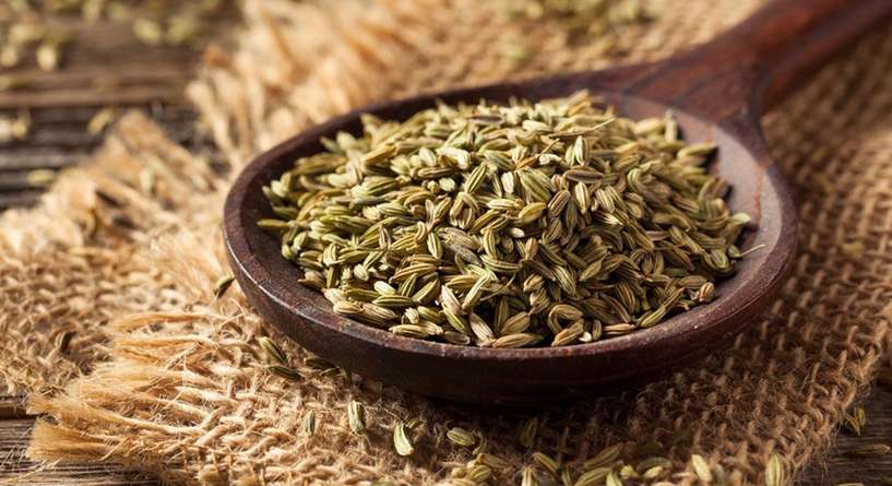 هل اليانسون مفيد لارتجاع المرئ 