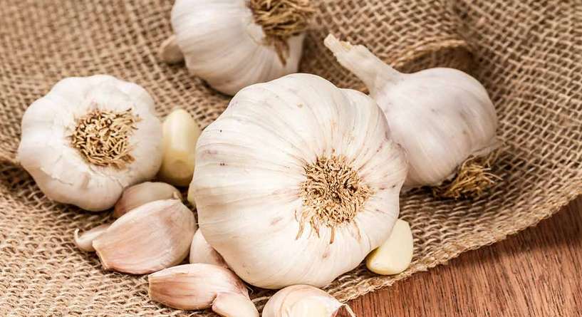 حفظ الثوم في الثلاجة