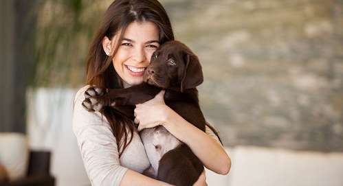 تخلّصي من رائحة الحيوان الأليف في المنزل!