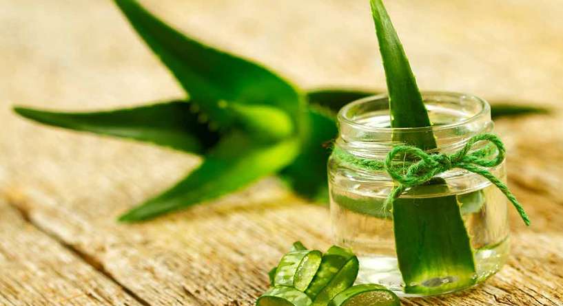 منافع الألوفيرا الجمالية
