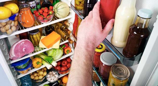 Shelf, Appliance, Refrigerator