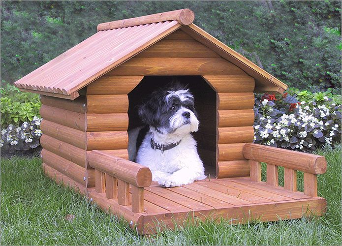 dog house