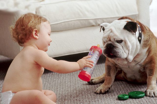 baby and dog