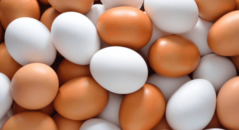 الفرق بين البيض البني والبيض الأبيض