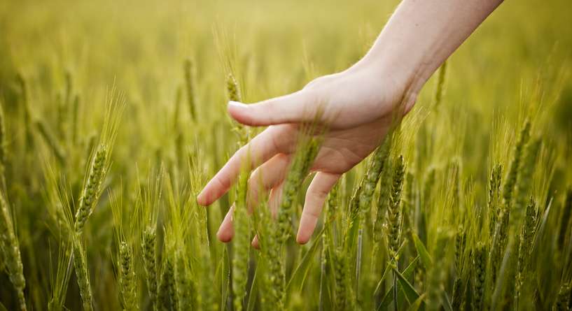 3 خدع غريبة لحاسة اللمس