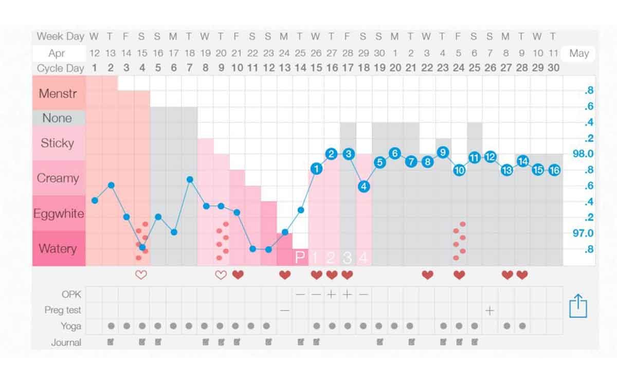تطبيق يساعدك على تحديد موعد التبويض بدقة