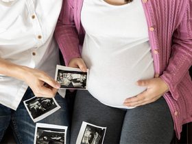 شكل الجنين في الاسبوع السادس بالسونار