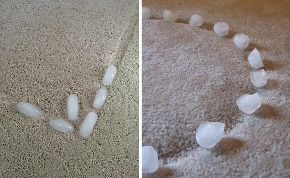 سبب وضع مكعبات الثلج على السجادة