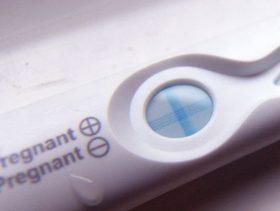 الحمل ومراحل نمو الجنين في الأسبوع الرابع