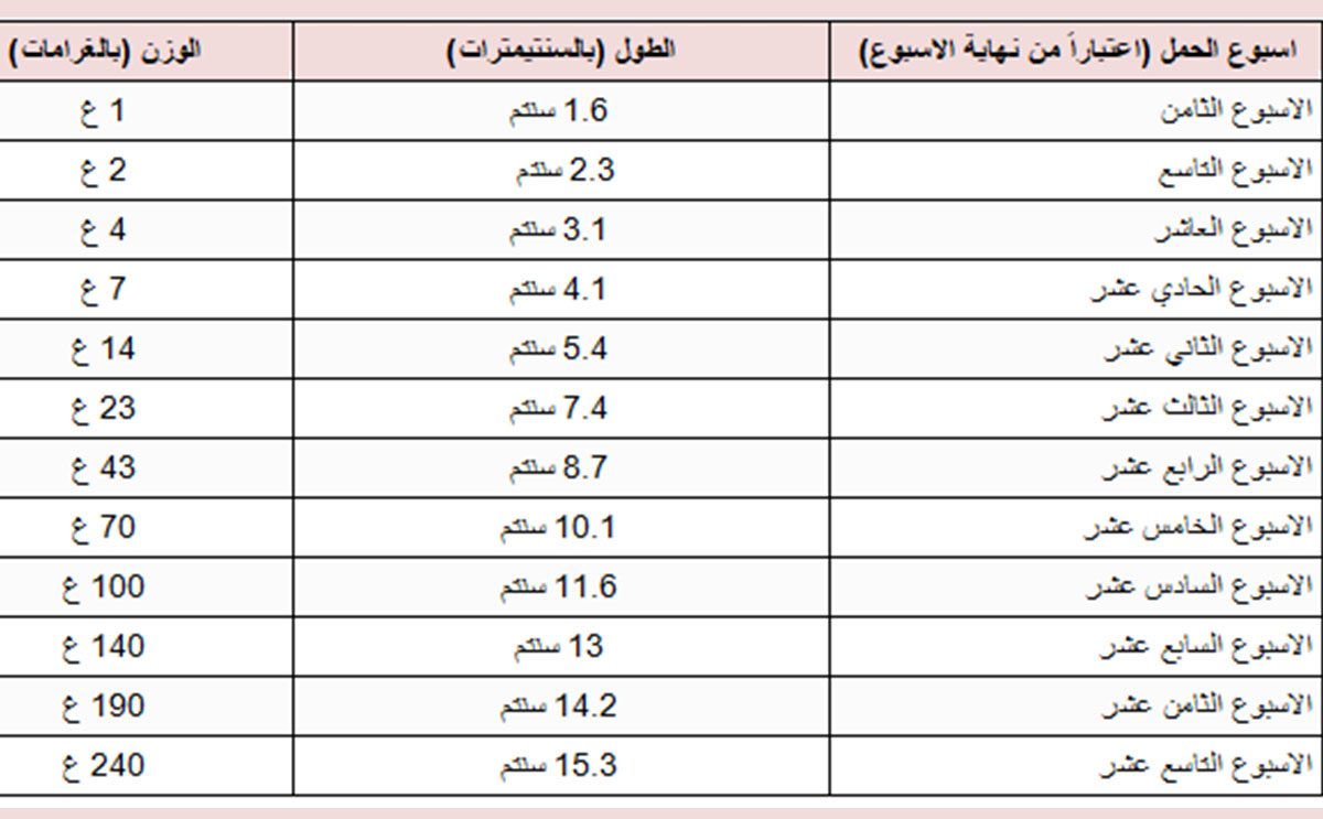 جدول وزن الجنين