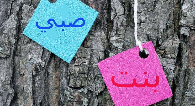 العلاقة بين كثرة اللعاب عند الحامل ونوع الجنين